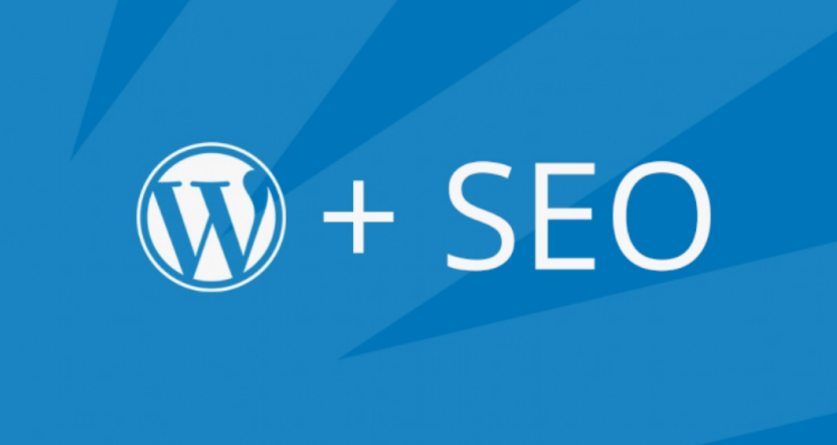 wordpress-seo-ajansi_ WordPress SEO Ajansı