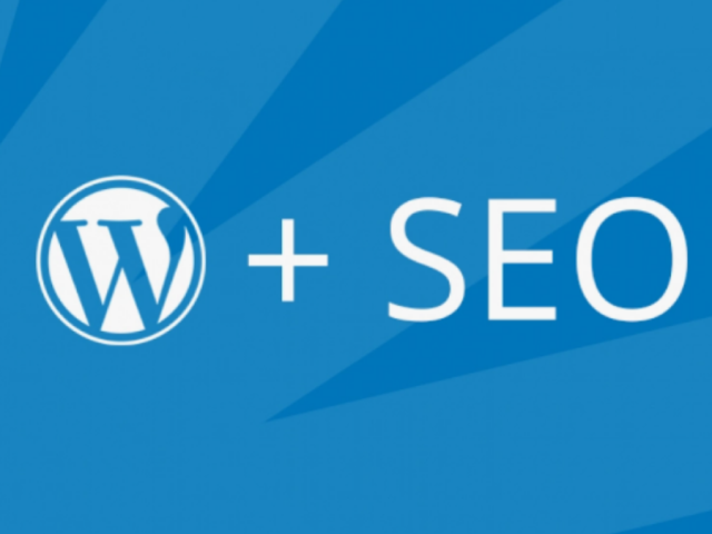 WordPress SEO Ajansı