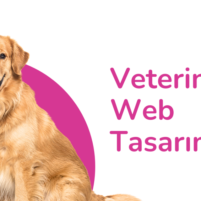 Veteriner Web Tasarım