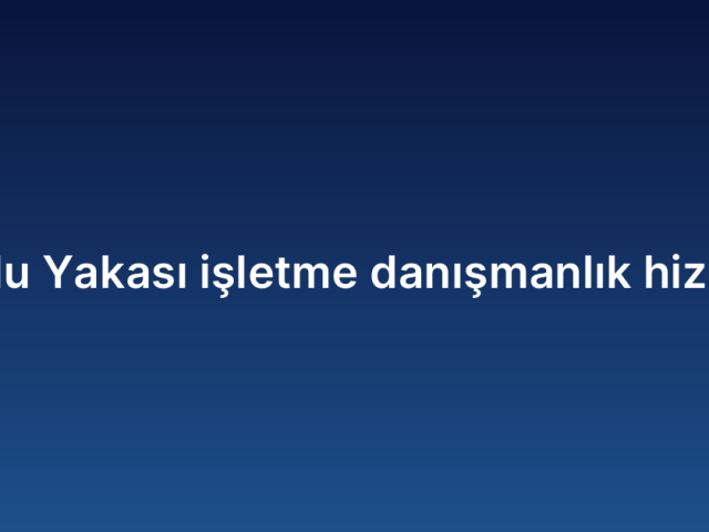 Anadolu Yakası İşletme Danışmanlık Hizmetleri