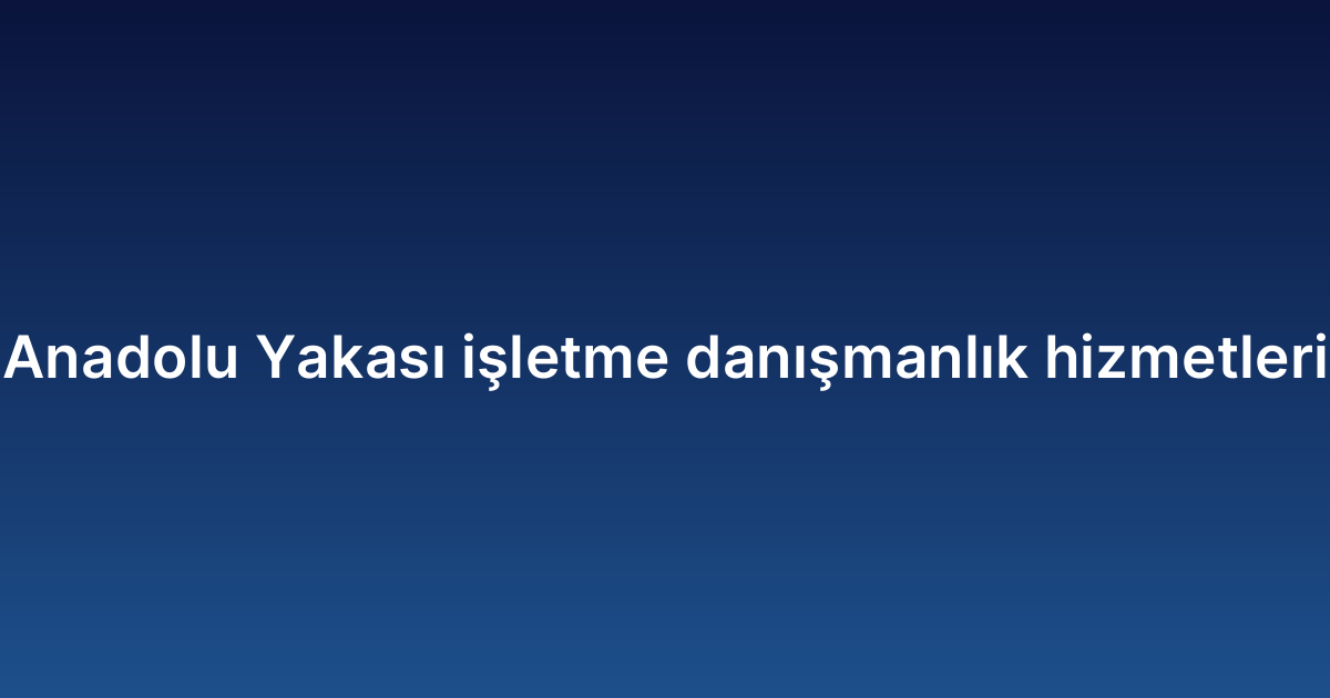 Anadolu Yakası İşletme Danışmanlık Hizmetleri