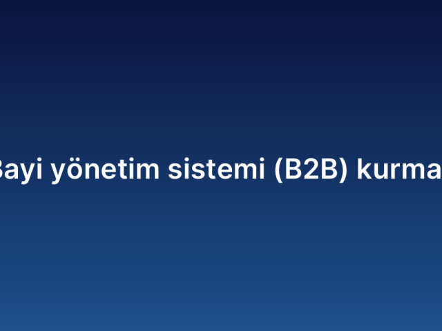 Bayi yönetim sistemi (B2B) kurmak