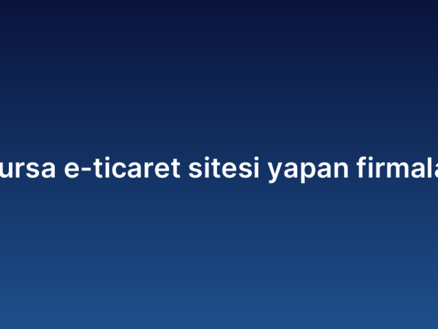 Bursa e-ticaret sitesi yapan firmalar