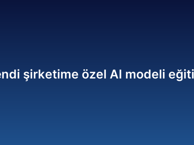 Kendi şirketime özel AI modeli eğitimi