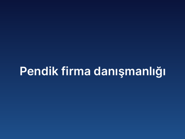 Pendik Firma Danışmanlığı