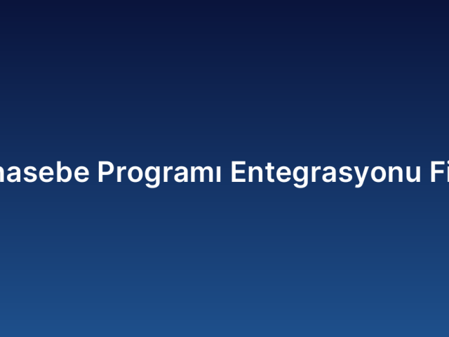 Muhasebe Programı Entegrasyonu Fiyatı
