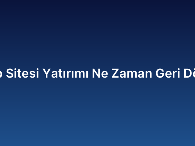 Web Sitesi Yatırımı Ne Zaman Geri Döner