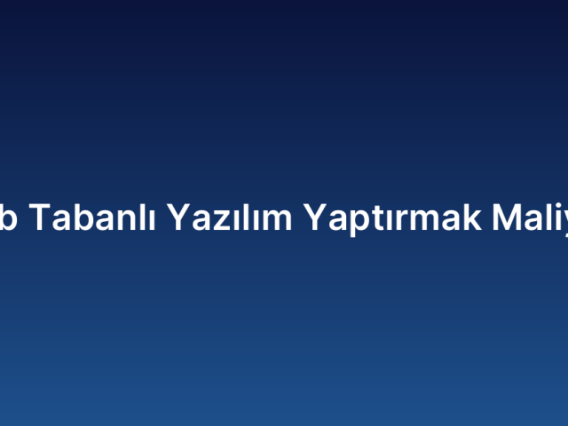Web Tabanlı Yazılım Yaptırmak Maliyeti
