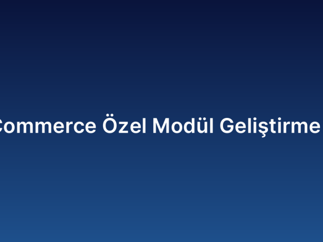 WooCommerce Özel Modül Geliştirme Fiyatı