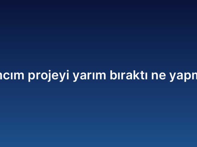 Yazılımcım projeyi yarım bıraktı ne yapmalıyım