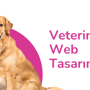 Veteriner Web Tasarım