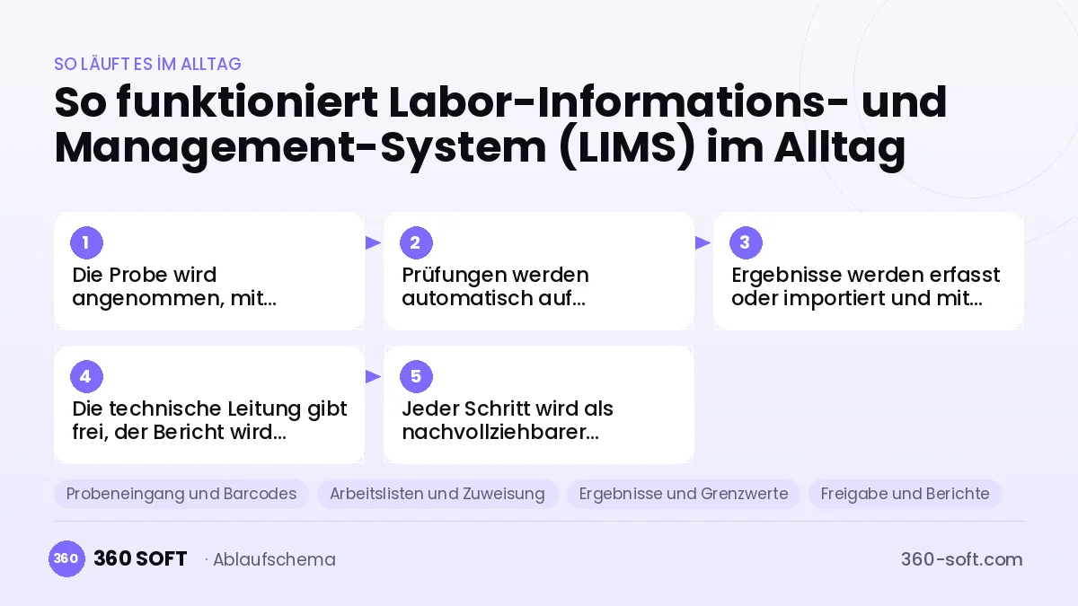 Labor-Informations- und Management-System (LIMS)